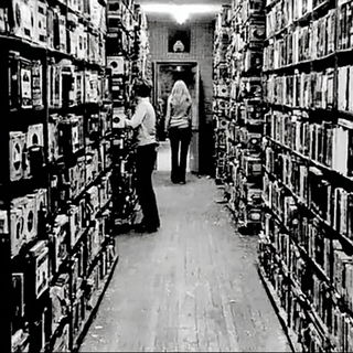 Fungifilm style, Midjourney V7: Midlibrary