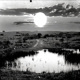 Fungifilm style, Midjourney V7: realistic landscape photograph of quiet dawn