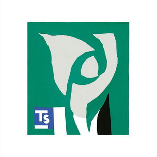 Enamelterra style, Midjourney V7: bold minimalist logo design for Istanbul city municipal services