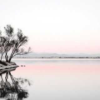 Mosslace Storycloth style, Midjourney V7: realistic landscape photograph of quiet dawn