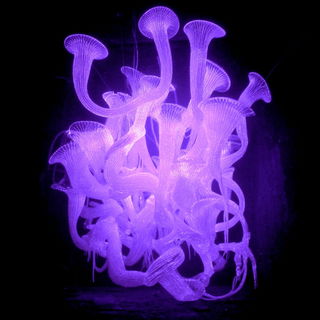 Sulphite Bloom style, Midjourney V7: abstract 3D render
