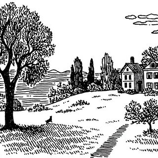 Engraved Surrealism style, Midjourney V7: black-and-white manga comic strip