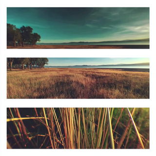Mirrorloop Kinetics style, Midjourney V7: realistic landscape photograph of quiet dawn