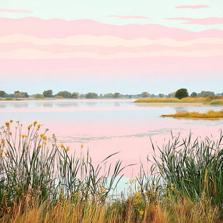Tropiglyphics style, Midjourney V7: realistic landscape photograph of quiet dawn