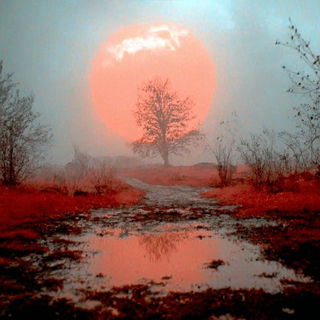 Television Ash style, Midjourney V7: realistic landscape photograph of quiet dawn