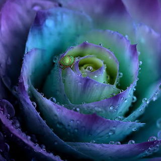 Alpine Bloomfront style, Midjourney V7: creative pattern composition