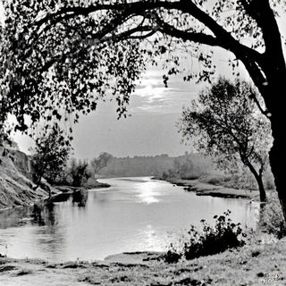 Theatracollodion style, Midjourney V7: realistic landscape photograph of quiet dawn