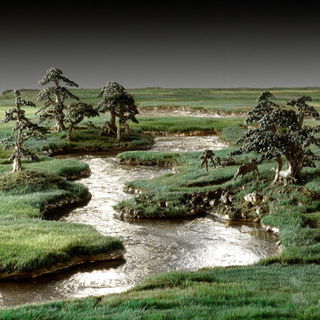 Silver Caustic style, Midjourney V7: realistic landscape photograph of quiet dawn