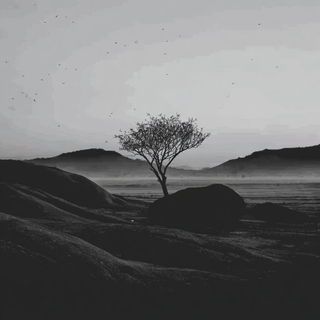 Pulpmoon style, Midjourney V7: realistic landscape photograph of quiet dawn