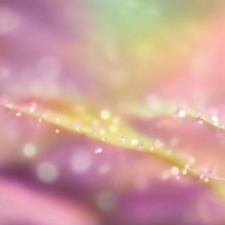 Marlflower style, Midjourney V7: abstract 3D render