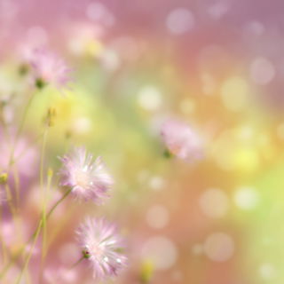 Marlflower style, Midjourney V7: creative pattern composition
