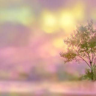 Marlflower style, Midjourney V7: realistic landscape photograph of quiet dawn