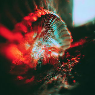 Neonblur Entomographica style, Midjourney V7: creative pattern composition