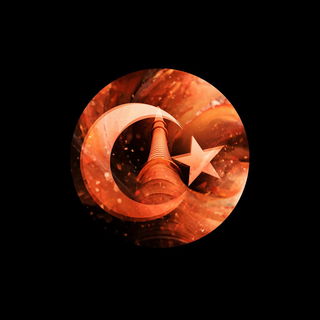 Vitreopulmonary style, Midjourney V7: bold minimalist logo design for Istanbul city municipal services