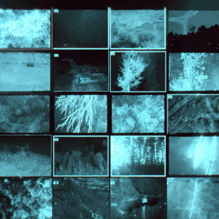 Infrared Midwayism style, Midjourney V7: creative pattern composition