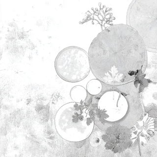 Palewater Cartography style, Midjourney V7: creative pattern composition