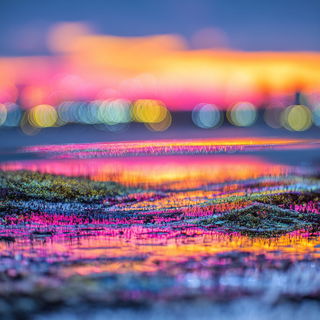 Fiberoptic Millinery style, Midjourney V7: realistic landscape photograph of quiet dawn