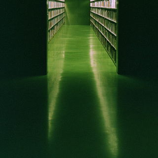 Terraloam style, Midjourney V7: Midlibrary
