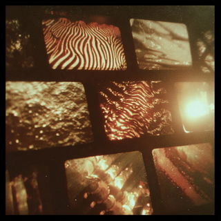 Redheat Daguerrotype style, Midjourney V7: creative pattern composition