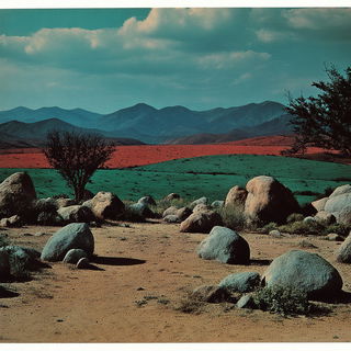 Cardiopulp style, Midjourney V7: realistic landscape photograph of quiet dawn