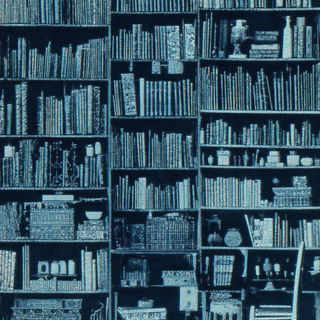 Indigo Folio style, Midjourney V7: Midlibrary
