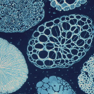 Indigo Folio style, Midjourney V7: creative pattern composition