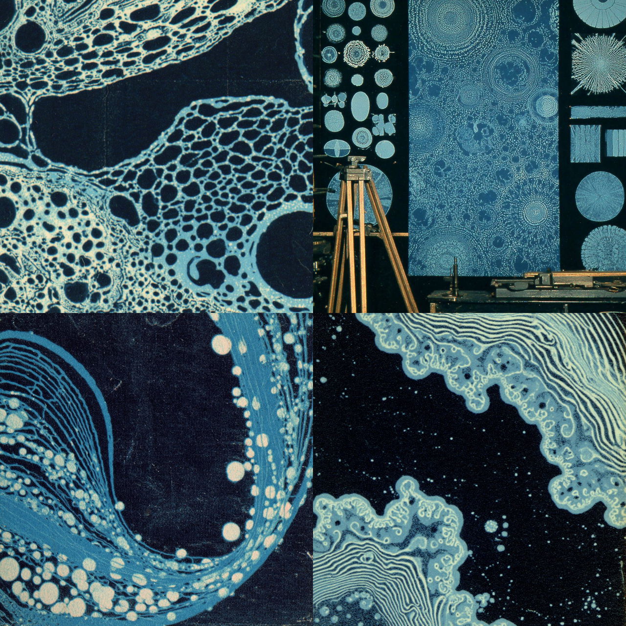 Indigo Folio style, Midjourney V7, render 1 of 4