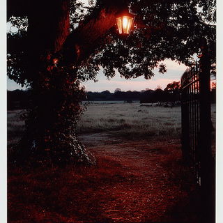 Vantacine style, Midjourney V7: realistic landscape photograph of quiet dawn