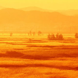 Saffron Megascape style, Midjourney V7: realistic landscape photograph of quiet dawn