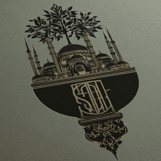 Gothicrosia style, Midjourney V7: bold minimalist logo design for Istanbul city municipal services