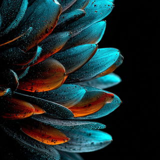 Biolumifur style, Midjourney V7: creative pattern composition