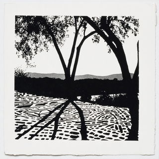 Lampblack Lattice style, Midjourney V7: realistic landscape photograph of quiet dawn