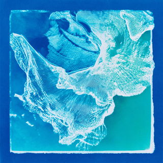 Cyanotype Biomorphics style, Midjourney V7: abstract 3D render