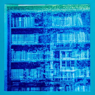 Cyanotype Biomorphics style, Midjourney V7: Midlibrary
