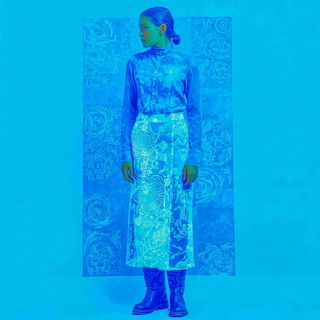 Cyanotype Biomorphics style, Midjourney V7: haute-couture fashion outfit