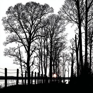Blackletter Linocurve style, Midjourney V7: realistic landscape photograph of quiet dawn