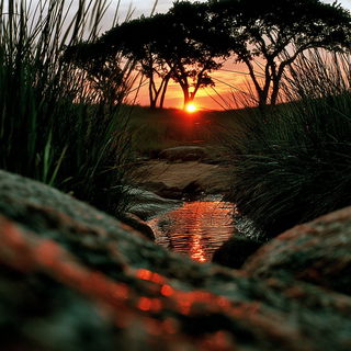 Sporascape style, Midjourney V7: realistic landscape photograph of quiet dawn
