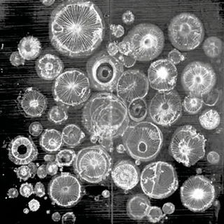 Cryotopographica style, Midjourney V7: creative pattern composition