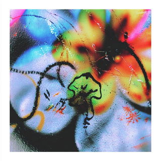 Spraybotanica style, Midjourney V7: creative pattern composition
