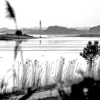 Tailored Gesture Drawing style, Midjourney V7: realistic landscape photograph of quiet dawn