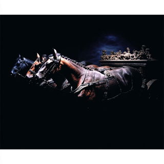 Nightfall Reliefography style, Midjourney V7: classical 18th-century oil painting