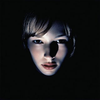 Nightfall Reliefography style, Midjourney V7: photographic portrait of female protagonist