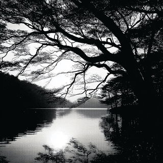 Caustic Silhouette style, Midjourney V7: realistic landscape photograph of quiet dawn