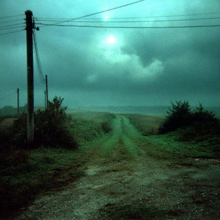 Cinebotanical style, Midjourney V7: realistic landscape photograph of quiet dawn