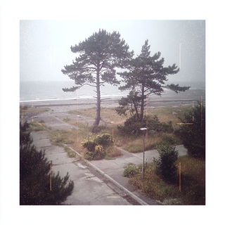 Ruinflicker style, Midjourney V7: realistic landscape photograph of quiet dawn