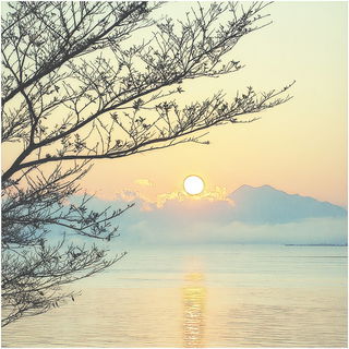 Cloudtail Ornithography style, Midjourney V7: realistic landscape photograph of quiet dawn