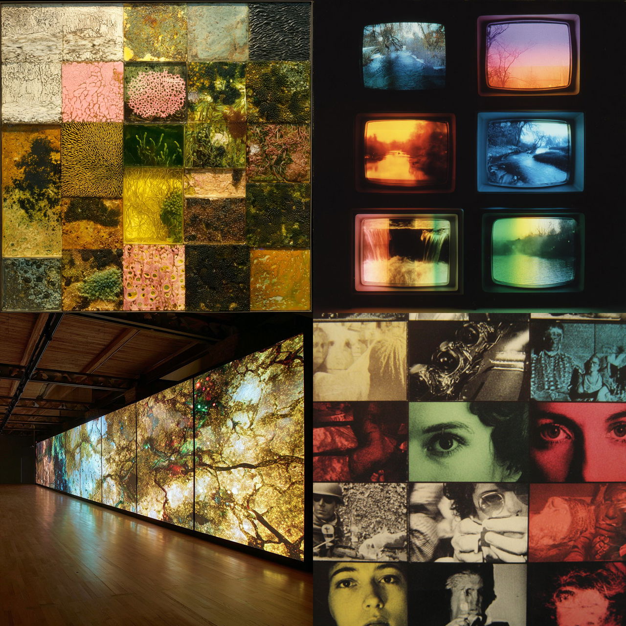 Susan Hiller style, Midjourney V7, render 1 of 4