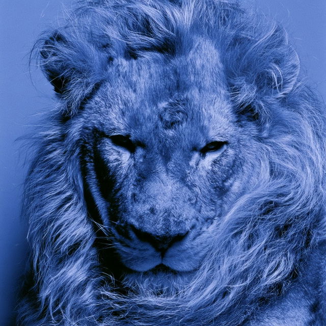 Cerulean Zoophotism style, Midjourney V8.2, render 1 of 4