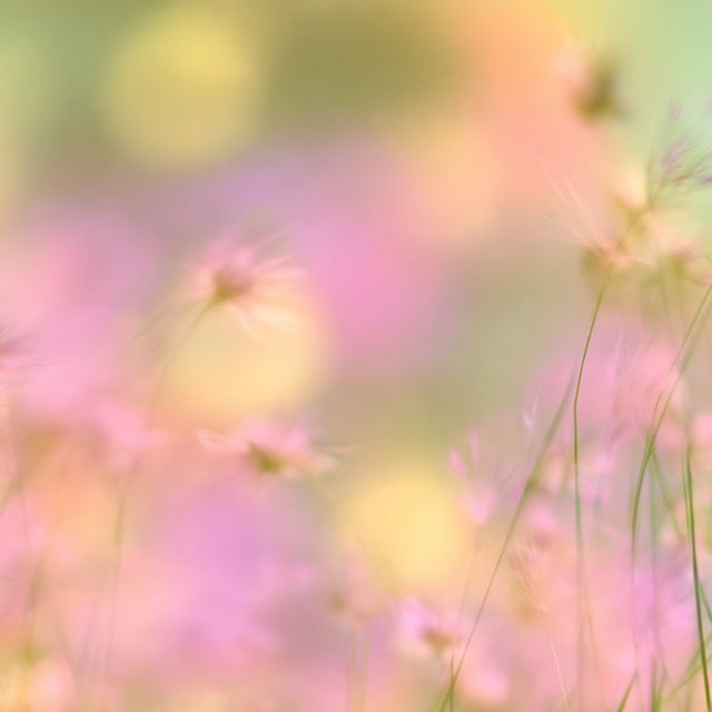 Marlflower style, Midjourney V8.2, render 4 of 4