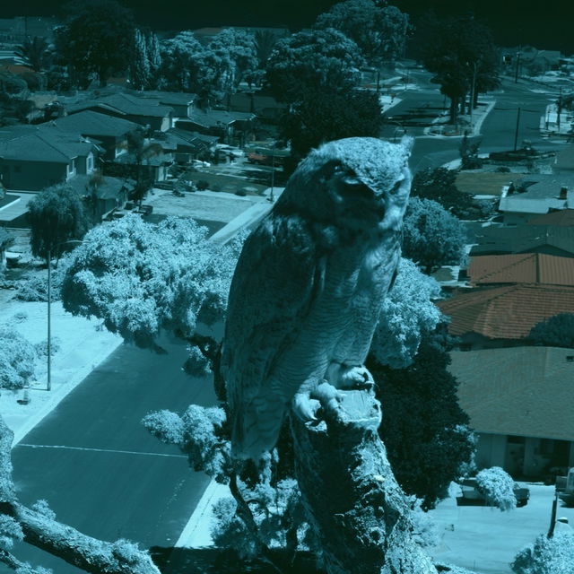 Infrared Midwayism style, Midjourney V8.2, render 1 of 4